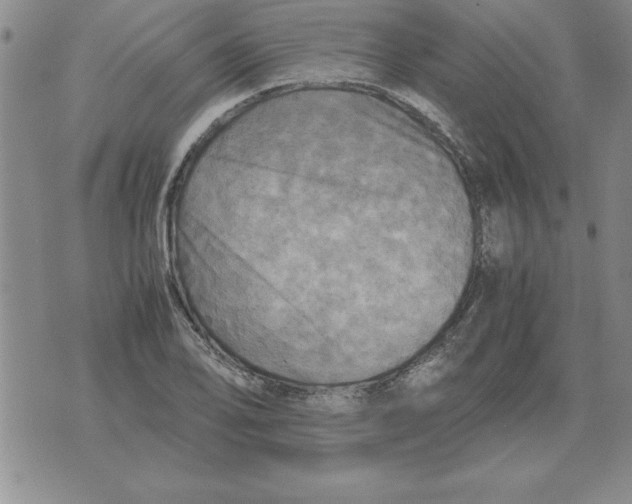 X0000071761078200607282142