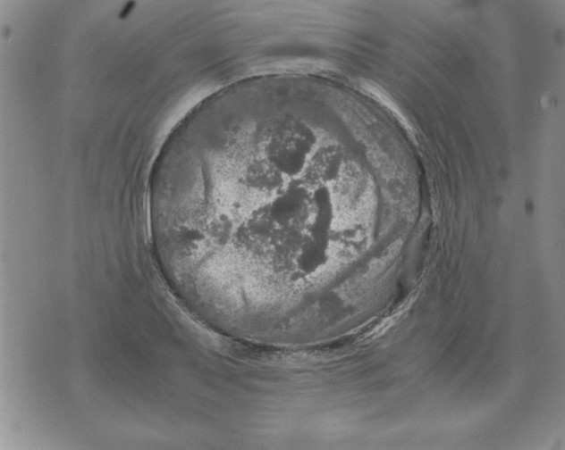 X0000071761079200607282142