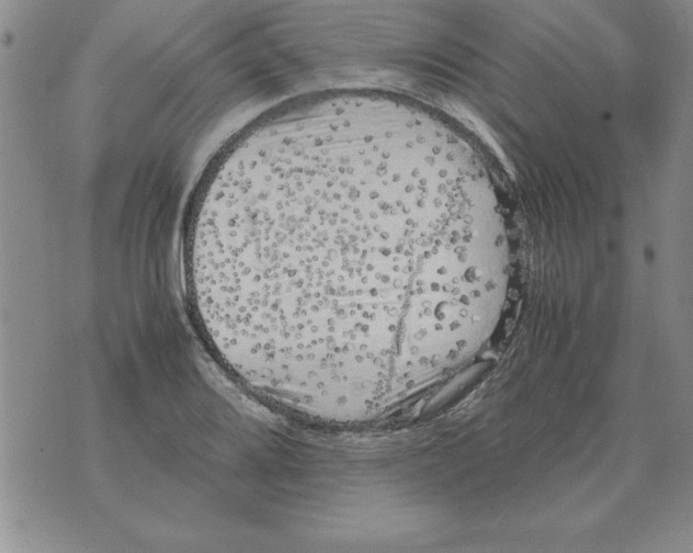 X0000071761080200607282142