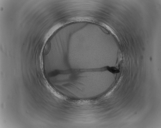 X0000071761082200607282142