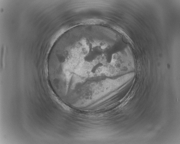 X0000071761083200607282142