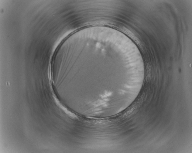 X0000071761084200607282142