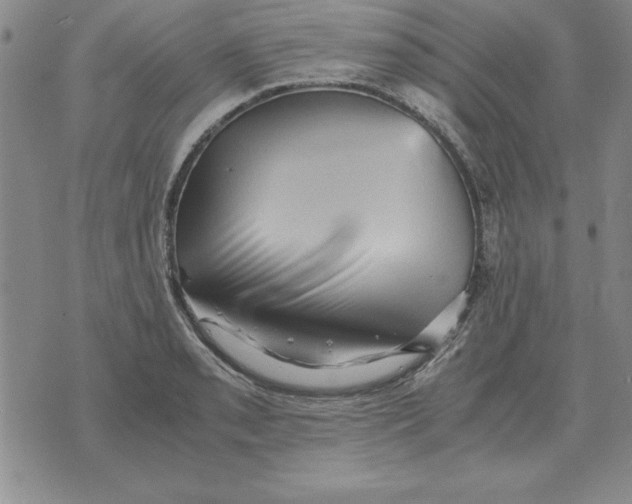 X0000071761085200607282142