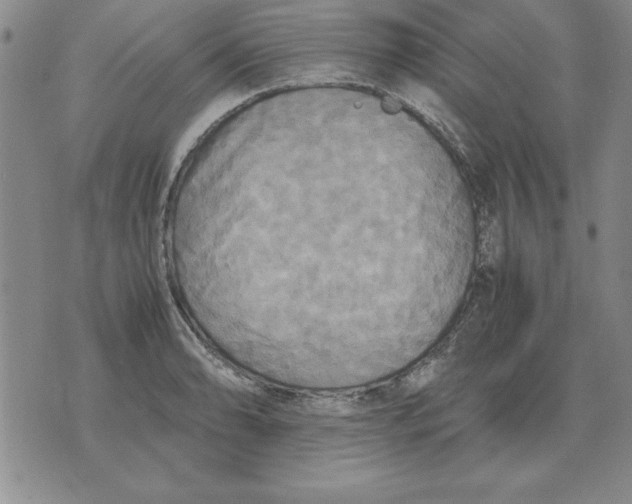 X0000071761086200607282142