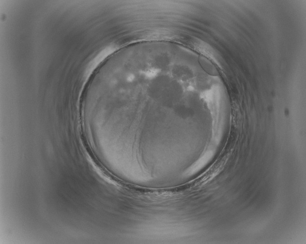 X0000071761087200607282142