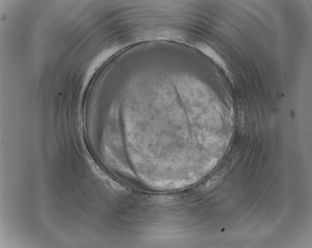 X0000071761088200607282142