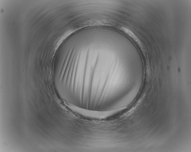 X0000071761089200607282142