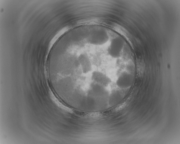 X0000071761090200607282142