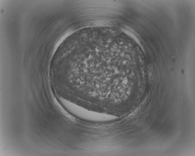 X0000071761091200607282142