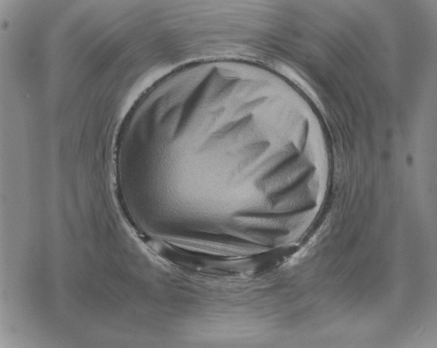 X0000071761093200607282142