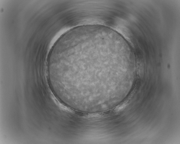 X0000071761094200607282142