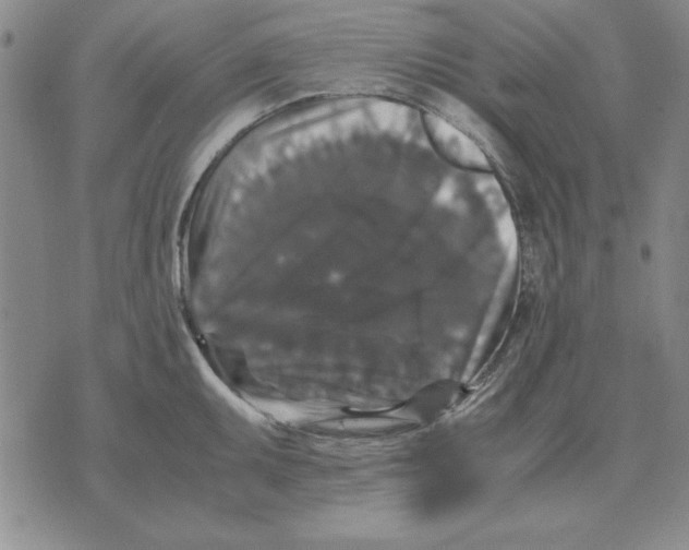 X0000071761095200607282141