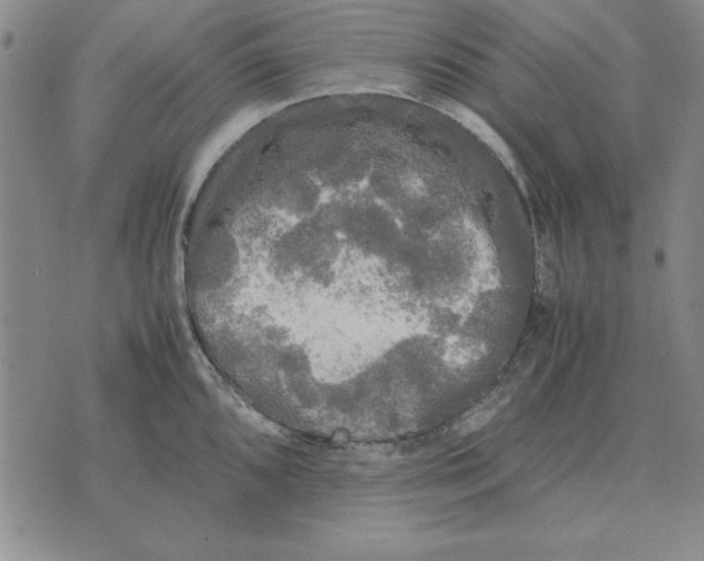 X0000071761096200607282141