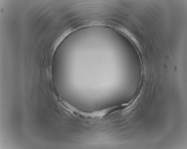 X0000071761097200607282141