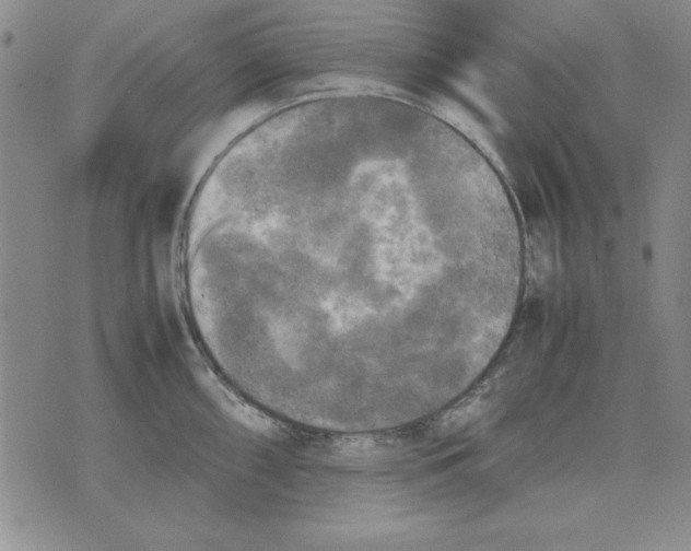 X0000071761098200607282141