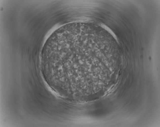 X0000071761099200607282141