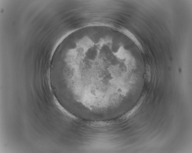 X0000071761100200607282141