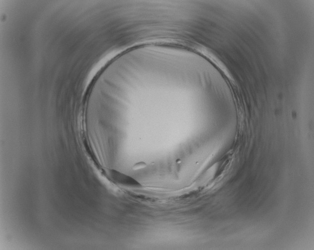 X0000071761101200607282141