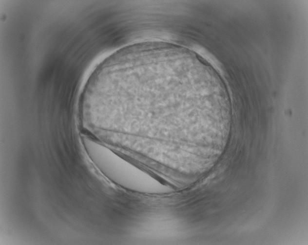 X0000071761104200607282141