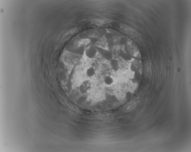 X0000071761105200607282141