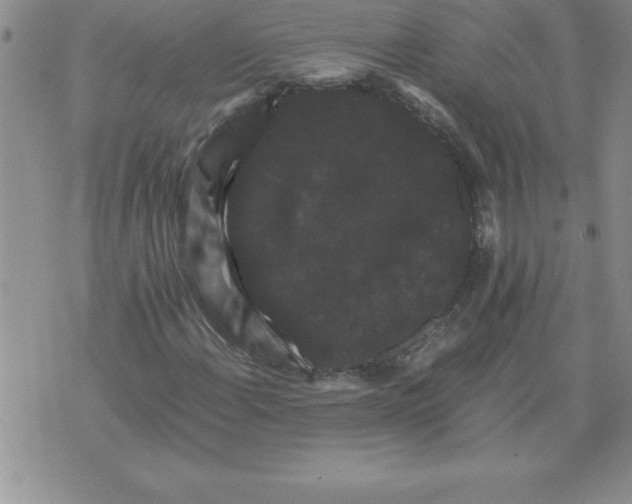 X0000071761108200607282141