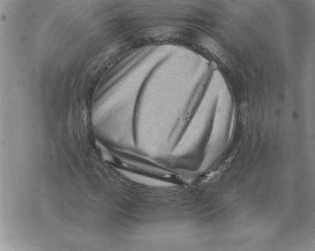 X0000071761111200607282141