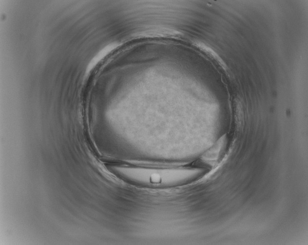 X0000071761114200607282141