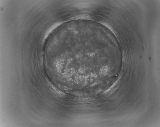 X0000071761115200607282141