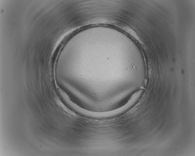 X0000071761116200607282141