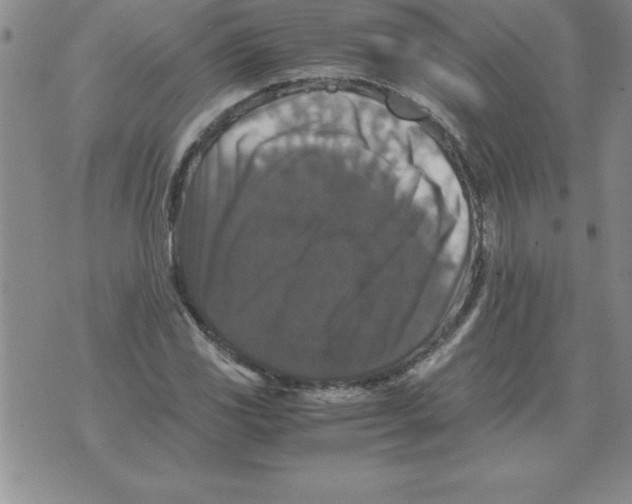 X0000071761117200607282141