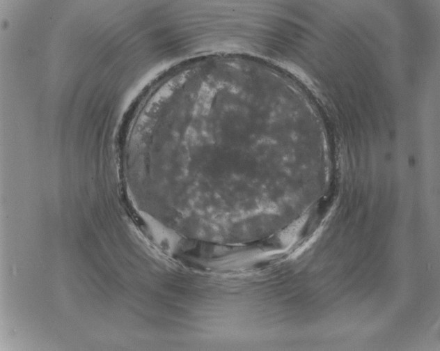 X0000071761118200607282141