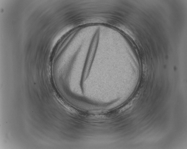 X0000071761119200607282141