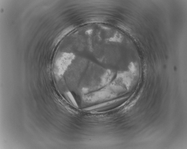 X0000071761121200607282141