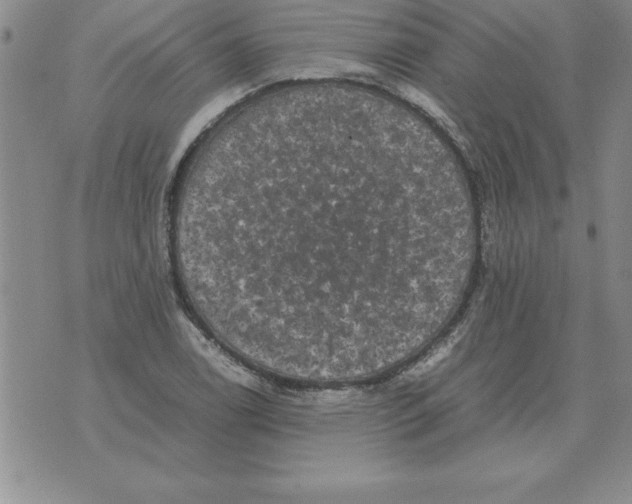 X0000071761122200607282141