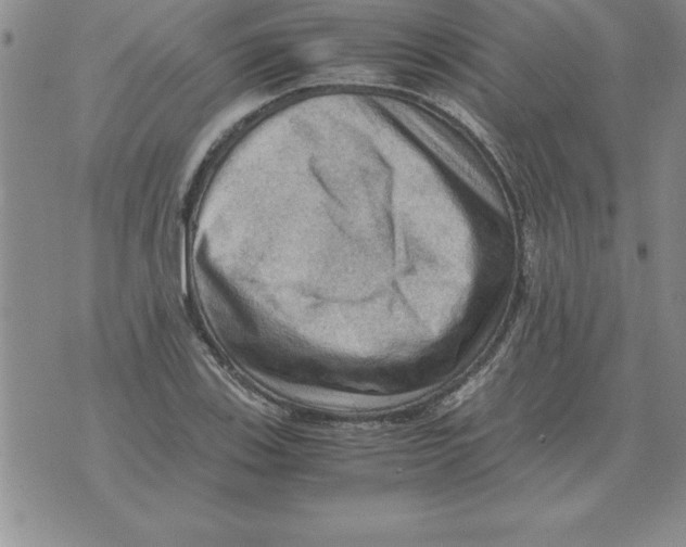 X0000071761123200607282141