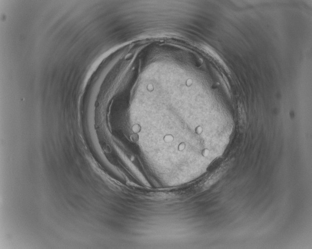 X0000071761124200607282141