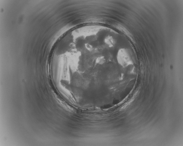 X0000071761125200607282141