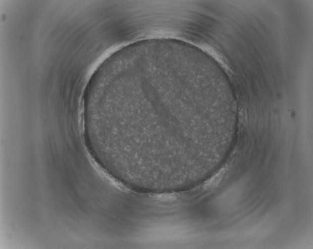 X0000071761126200607282141