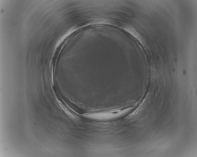 X0000071761127200607282141