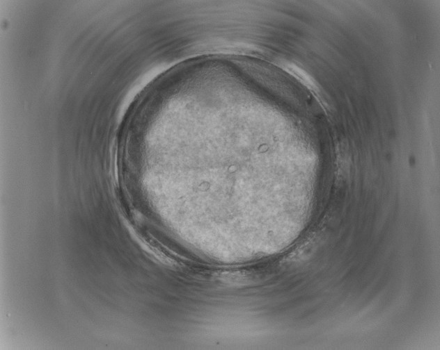 X0000071761128200607282141