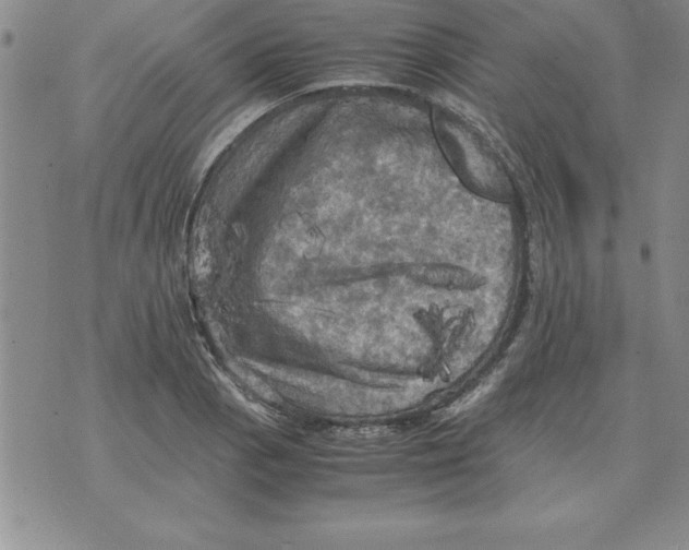 X0000071761129200607282141