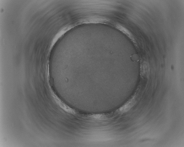 X0000071761130200607282141