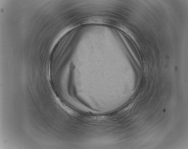 X0000071761131200607282141