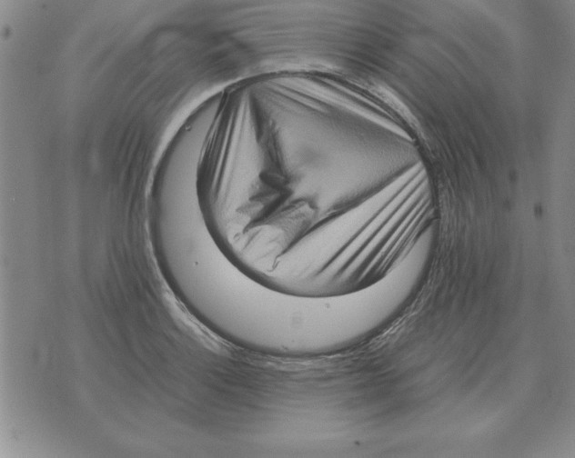 X0000071761132200607282141