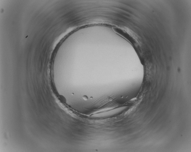 X0000071761134200607282141