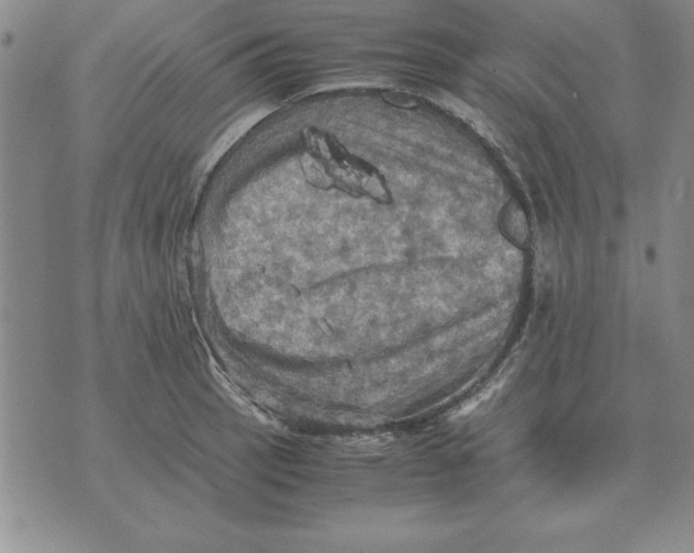 X0000071761137200607282141