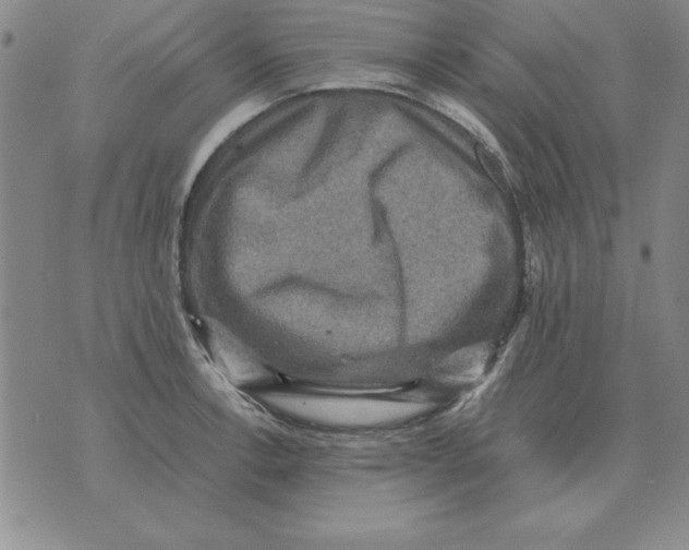 X0000071761138200607282141