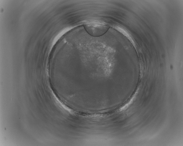 X0000071761141200607282141