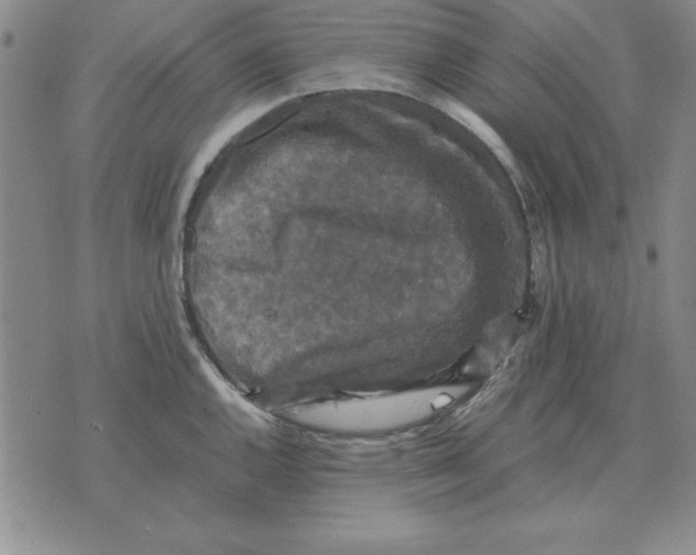 X0000071761144200607282141