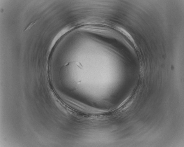 X0000071761146200607282141